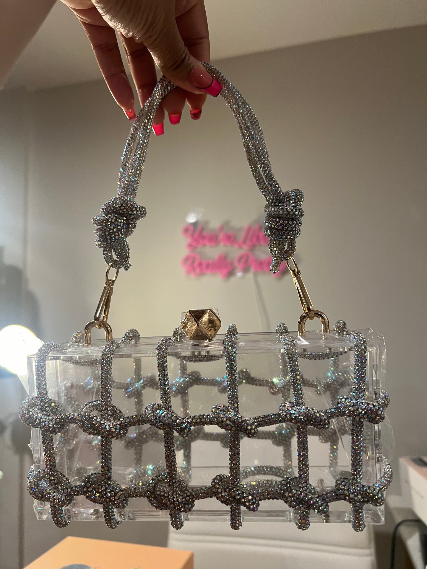 Iridescent Silver Crystal Knot Bag