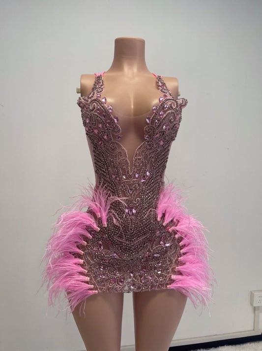 Dani Crystal Feather Dress (Pink)